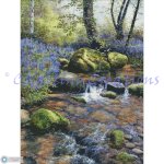 (image for) Shallow Brook